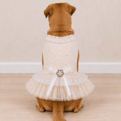 Champagne Daisy Dress