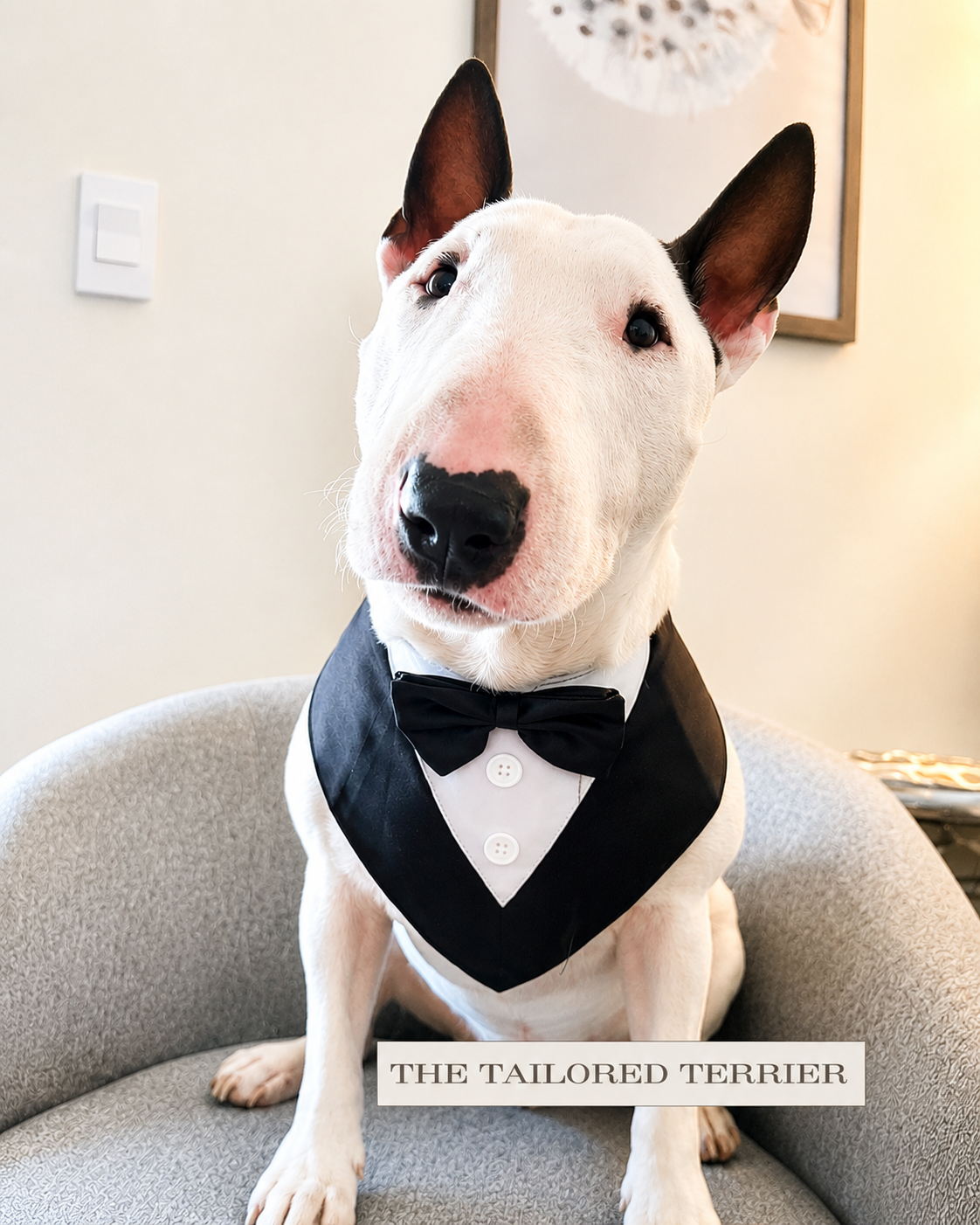 Tuxedo Bandanas