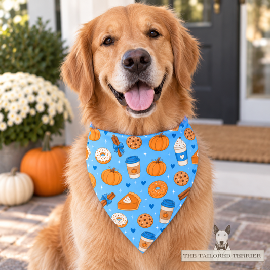 Bandana - Pumpkin Spice Blue
