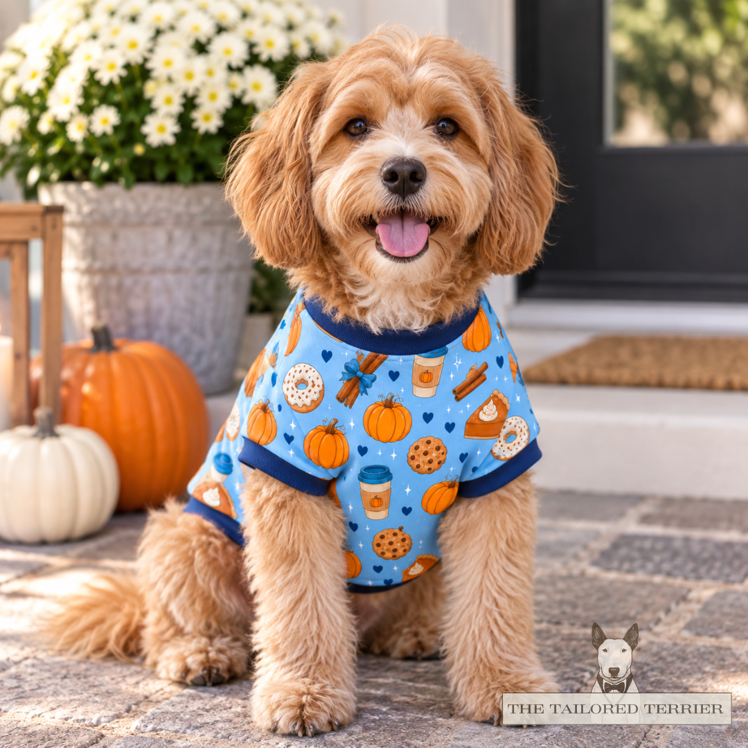 Tee Shirt - Pumpkin Spice Blue