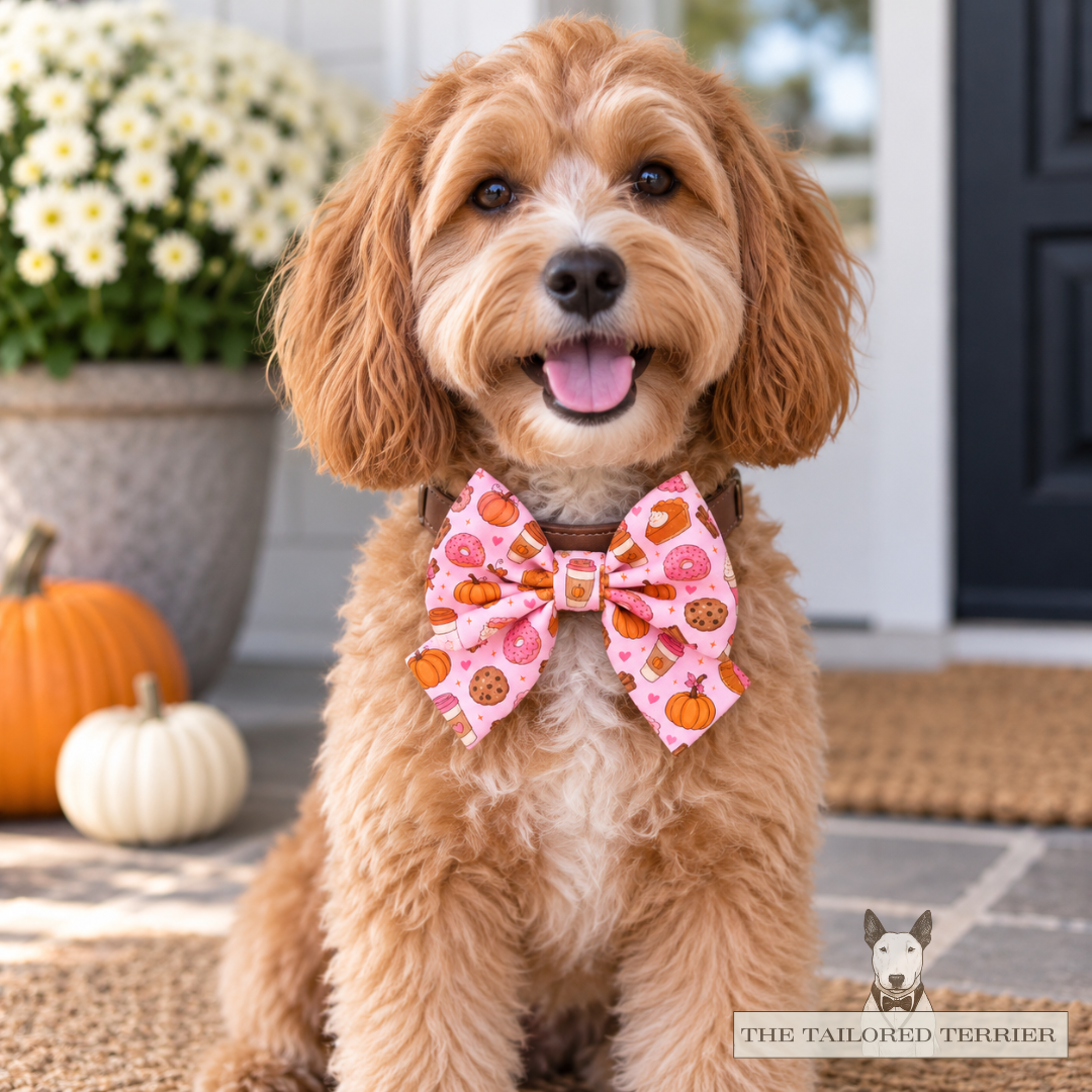Neck Bow – Pumpkin Spice