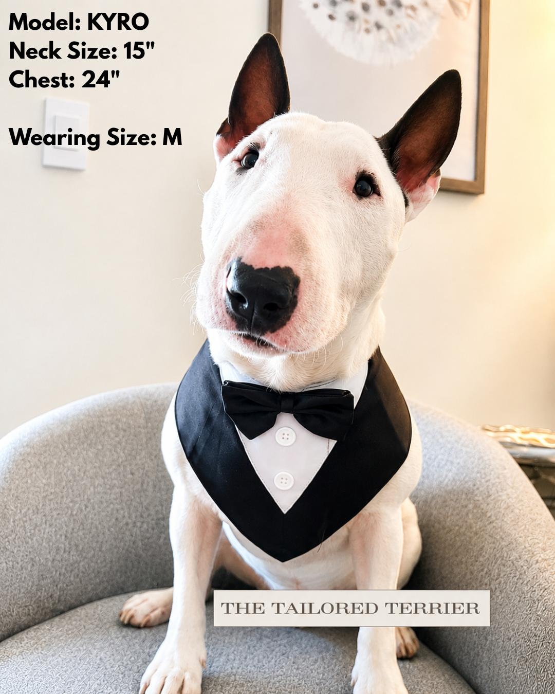 Tuxedo Bandanas
