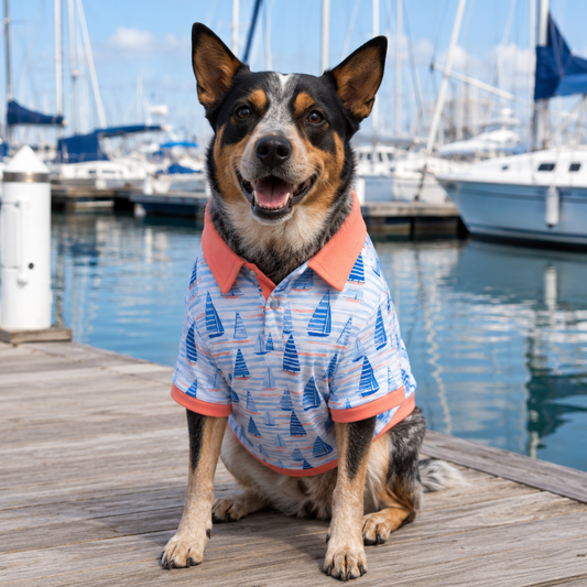 Collared Shirt – Sail Away