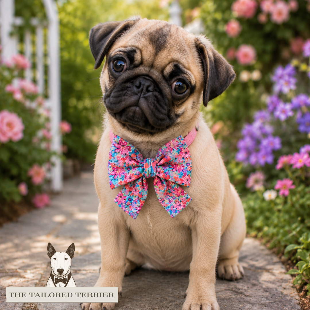 NECK BOWS