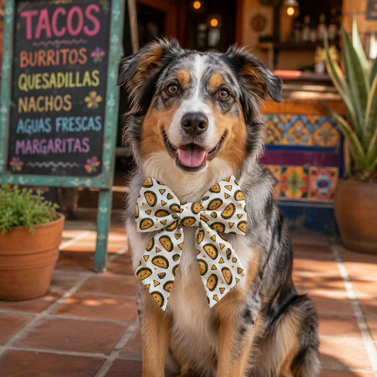 Neck Bow – Taco Tuesday