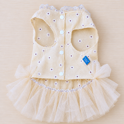 Champagne Daisy Dress