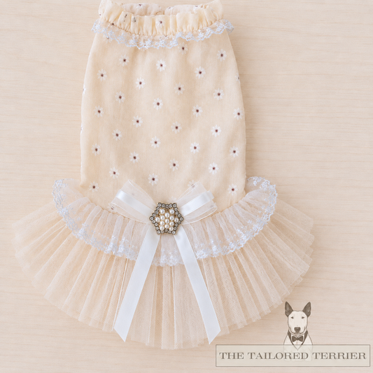 Champagne Daisy Dress