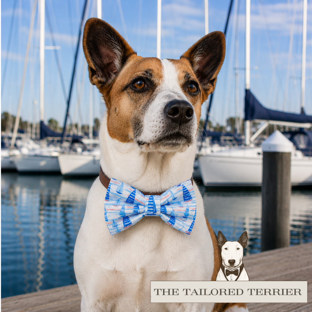 BOW TIES