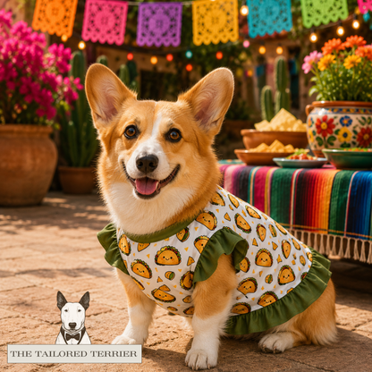 Ruffled Shirt – Taco Tuesday